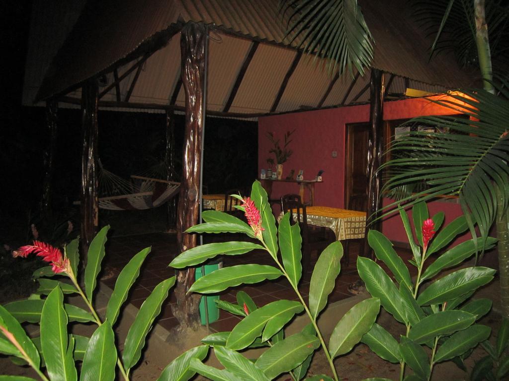 Hotel El Paraiso Escondido - Costa Rica Jacó Exteriér fotografie