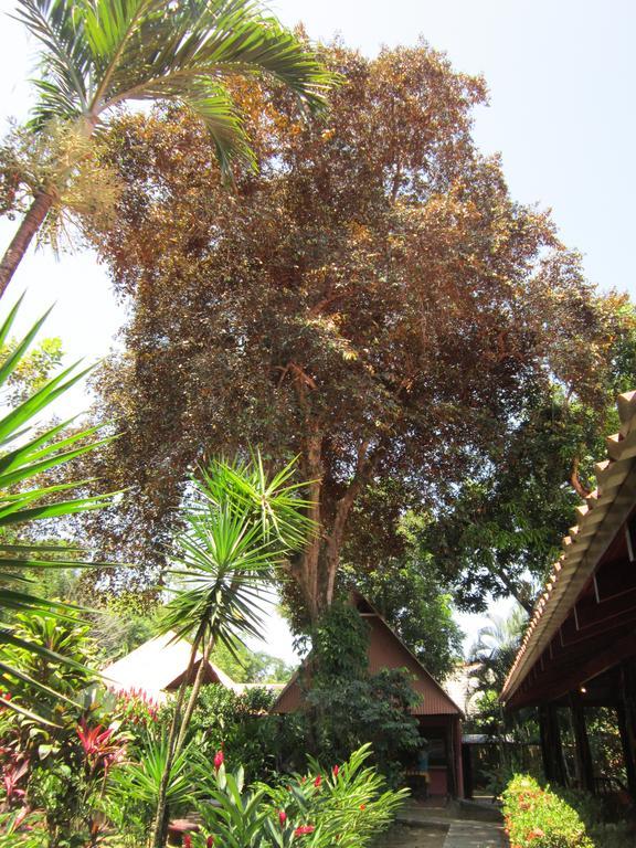 Hotel El Paraiso Escondido - Costa Rica Jacó Pokoj fotografie
