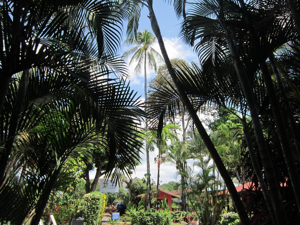 Hotel El Paraiso Escondido - Costa Rica Jacó Exteriér fotografie
