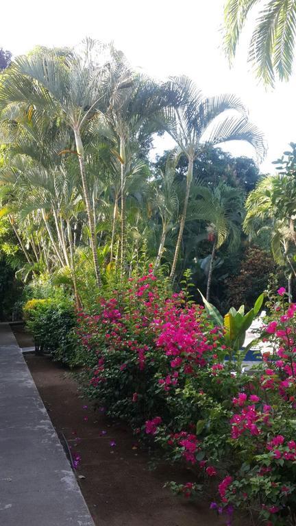 Hotel El Paraiso Escondido - Costa Rica Jacó Exteriér fotografie