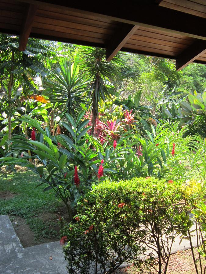 Hotel El Paraiso Escondido - Costa Rica Jacó Exteriér fotografie